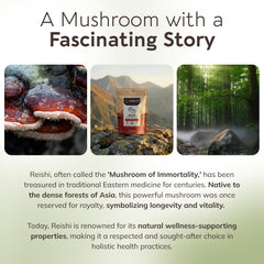 Longevity Botanicals Reishi powder label emphasizes 30% beta-D-glucans.