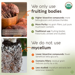 Longevity Botanicals Reishi powder packaging close-up showing fruiting-body purity.