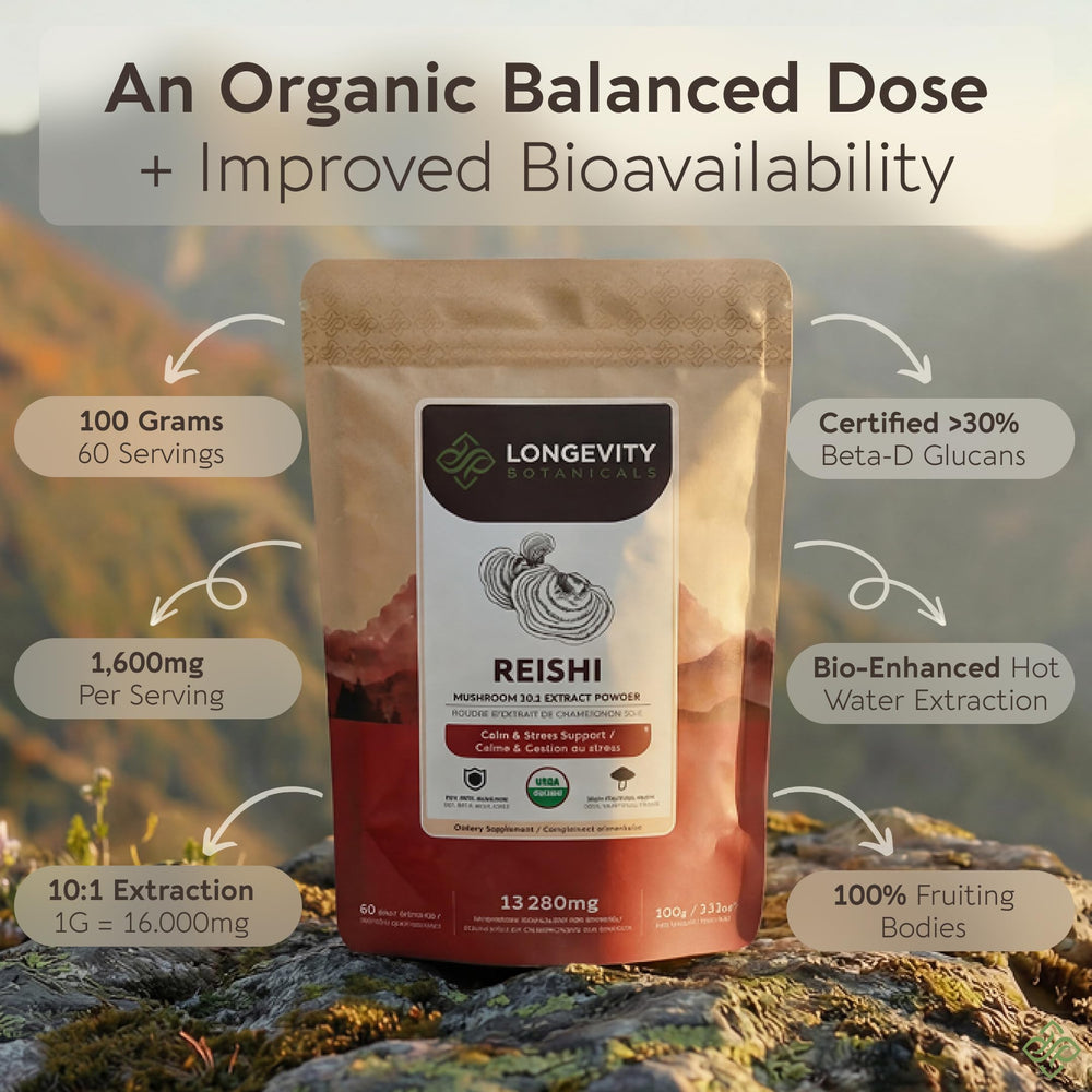 Longevity Botanicals Reishi powder scoop pouring into cup for relaxation.