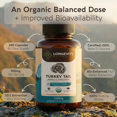 Longevity Botanicals turkey tail capsules micronized powder close-up for faster absorption