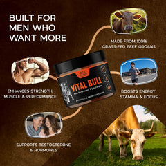 Lonvera Vital Bull beef testicle detail showing nutrient-dense organ source