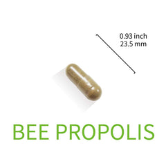 USA-made Lovita Propolis packaging with cGMP quality badge