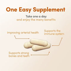 LowTE Florida ADK5 vitamin K2 MK-7 capsule supporting healthy arteries and bones.