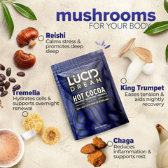 Lucid Dream Mushroom Hot Cocoa cup steaming, inviting a soothing evening ritual