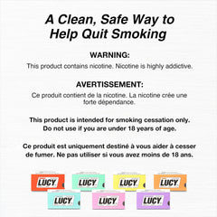 LUCY Nicotine Gum Wintergreen 2mg dispensing pack highlighting portability