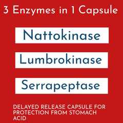 Lumbroke Advanced close‑up of delayed-release technology for enzymes