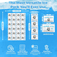 LUNA ICE packs are food-grade and non-toxic for safe food contact.