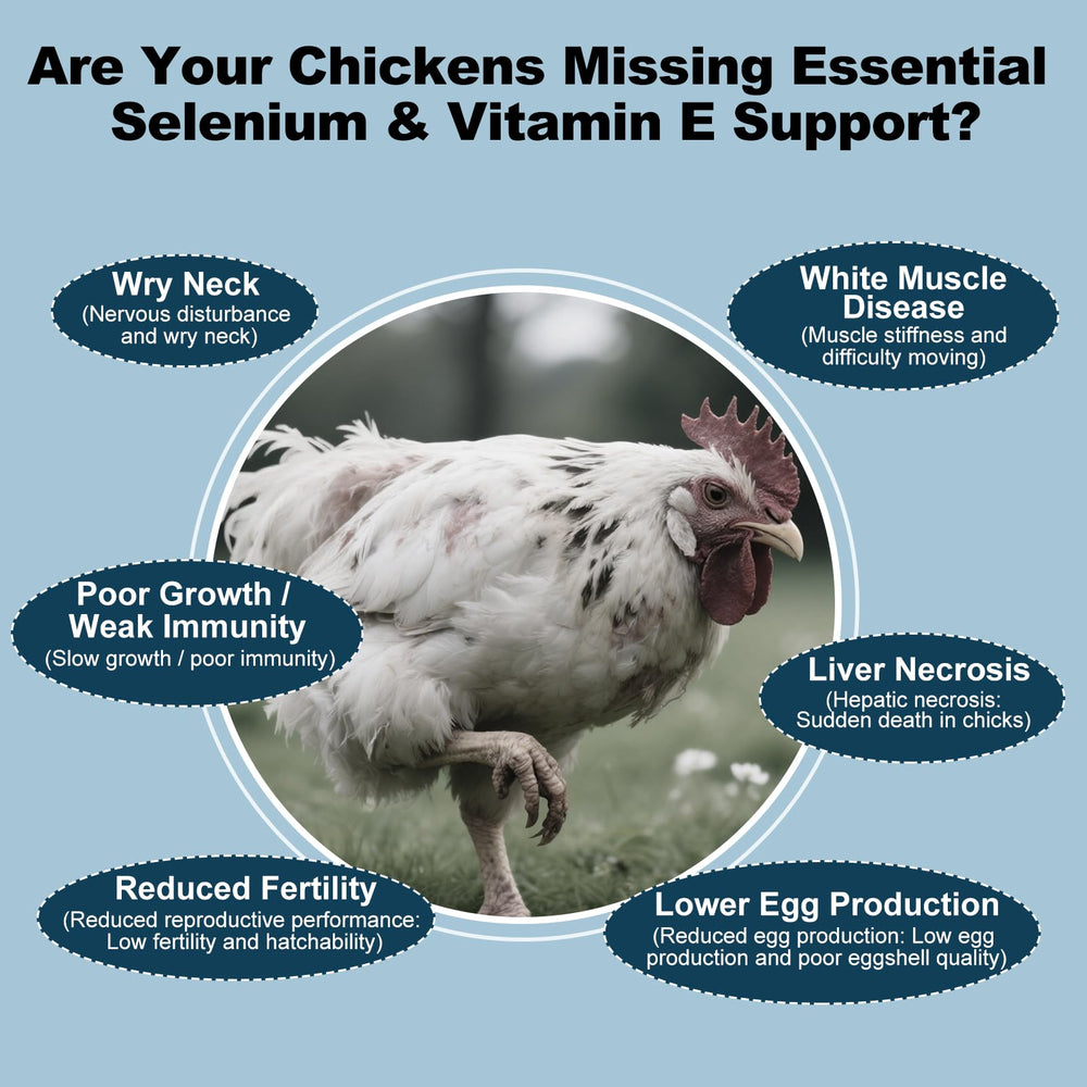 LuxeVib E+S Poultry Vitality Formula with chicks demonstrates active growth support