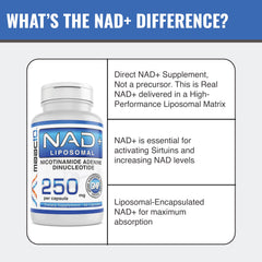 MAAC10 NAD+ label close-up provides ingredient details and certifications.