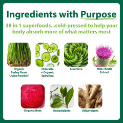 MacroLife Macro Greens packets on-the-go for quick nutrition.