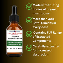 Mag Mushrooms label closeup highlighting product quality and ingredients