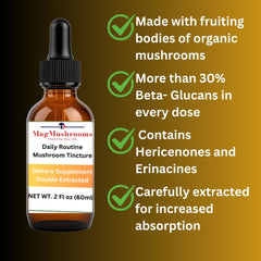 Mag Mushrooms label shows Lion’s Mane, Cordyceps, and Reishi blend