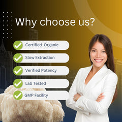 Mag Mushrooms Lion’s Mane capsules close-up reveals rich natural potency.