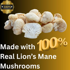 Mag Mushrooms Lion's Mane naturally grown farm setting emphasizes clean sourcing