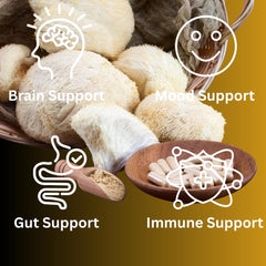 Mag Mushrooms Lion’s Mane packaging shows third-party purity and potency.