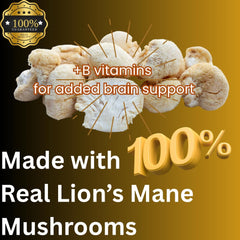 Mag Mushrooms Lion’s Mane tincture can be mixed into coffee for easy daily use