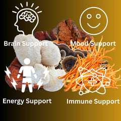 Mag Mushrooms ingredient image features Turkey Tail and Chaga in the blend