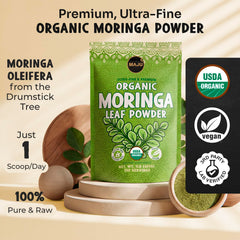 MAJU moringa powder beside a teacup for tea use.