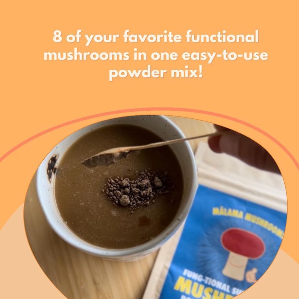 Malama Mushrooms 8-Mushroom Powder closeup, vibrant blend for daily energy and focus