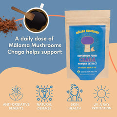 Malama Chaga powder bottle and label highlighting organic fruiting body origin.