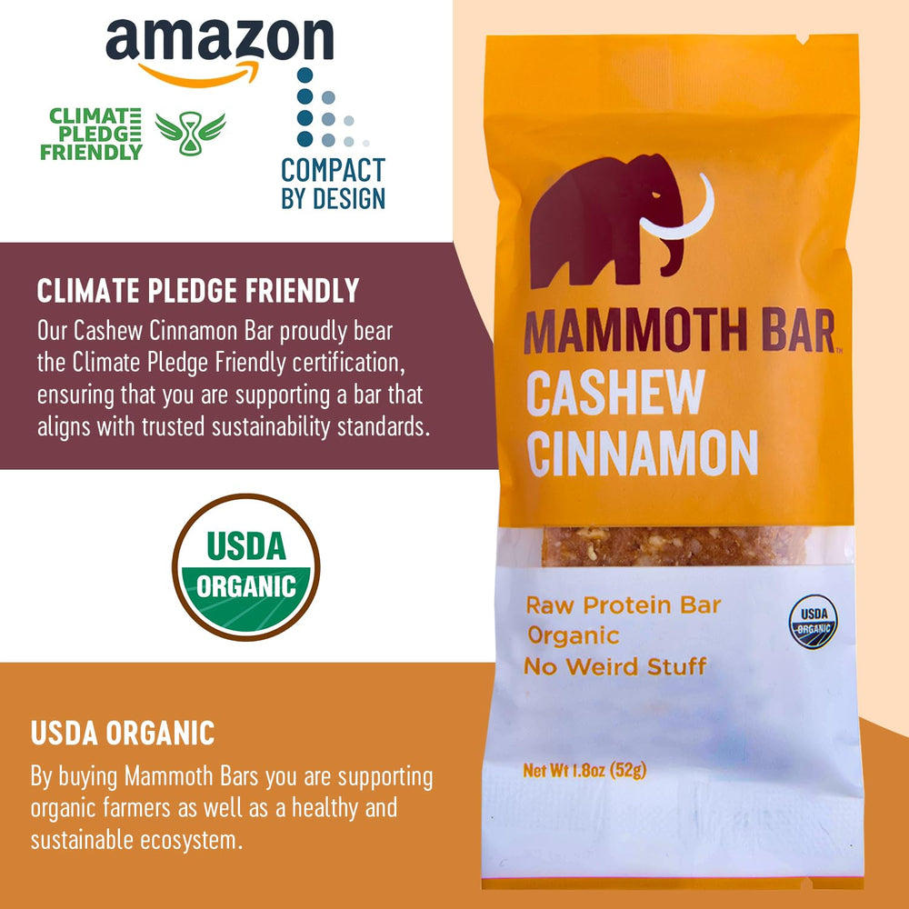 Mammoth Bar cashew cinnamon closeup emphasizes prebiotic-friendly ingredients