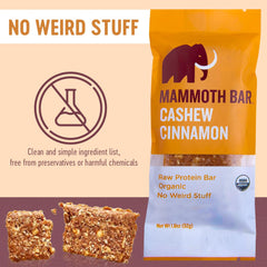 Mammoth Bar cashew cinnamon textured bite reveals chewy goodness