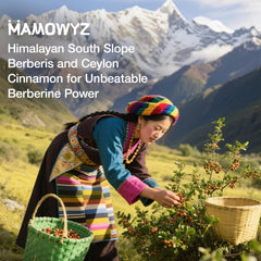 MAMOWYZ Gymnema leaves illustrate natural support in the blend.