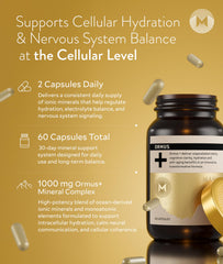 Manna Vitality Ormus+ capsules in hand signaling daily energy support.