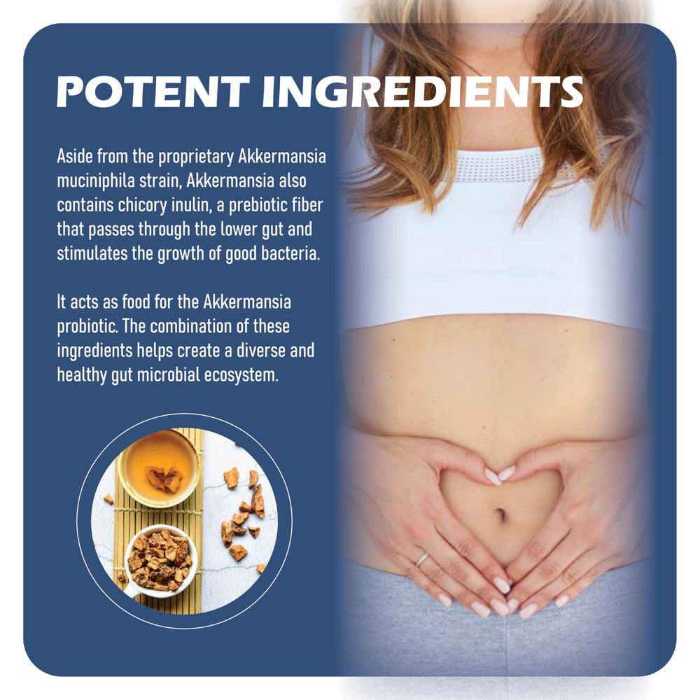 MAPUG gut health concept art depicts a balanced microbiome.