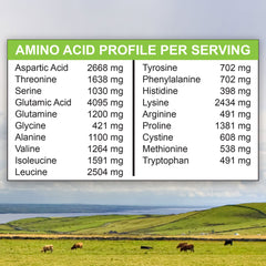 MariGold protein label emphasizes non-GMO, lactose-free, and gluten-free attributes