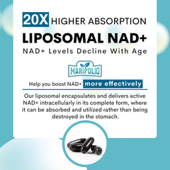 Maripolio Liposomal NAD+ 1000 mg near notebook hints focus support.