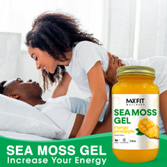 MAX FIT Sea Moss Gel with clean, nearly odorless preparation process.