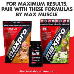 Max Muscle Arm Plus+ label close-up underscores GMP quality and trust.