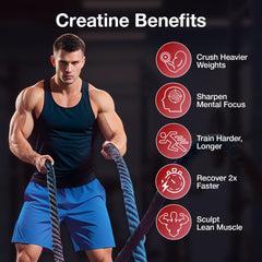 MaxHemp Creatine Gummies 160-chew two-bottle supply for ongoing use