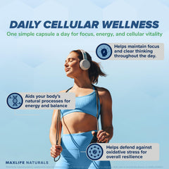 MAXLIFE NATURALS Neuro NACET label closeup emphasizes quality ingredients.