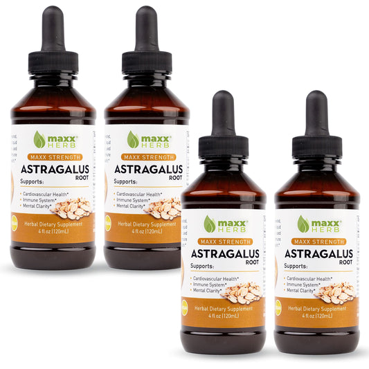Maxx Herb Astragalus root extract bottle ready for daily immune support