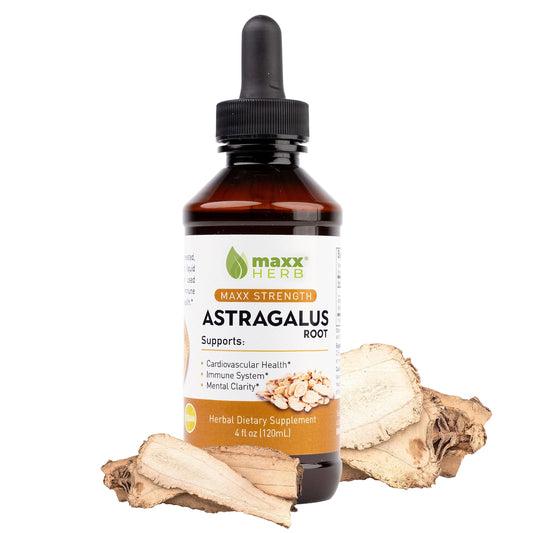 Maxx Herb Astragalus root extract bottle ready for daily immune support.