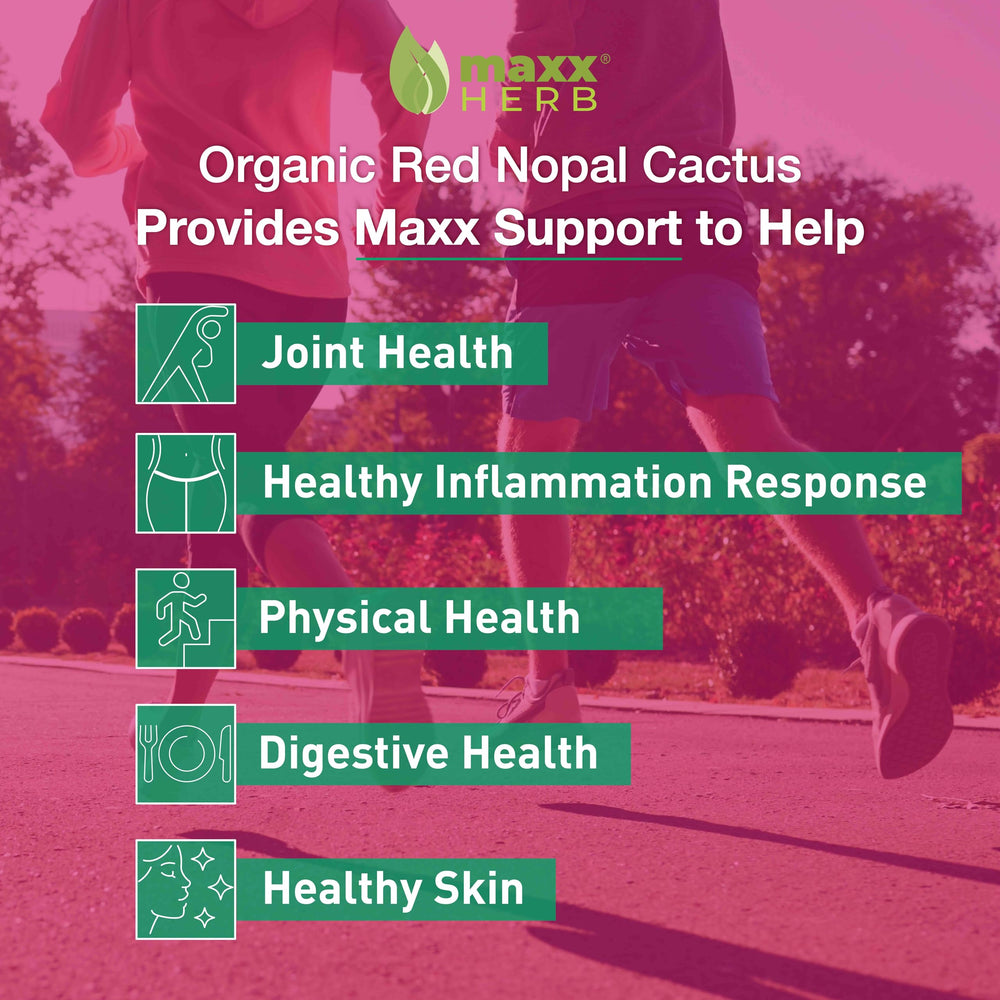 Maxx Herb Red Nopal powder ingredients include prickly pear and natural preservatives