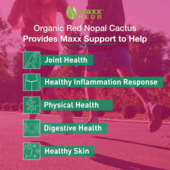 Maxx Herb Red Nopal powder ingredients include prickly pear and natural preservatives