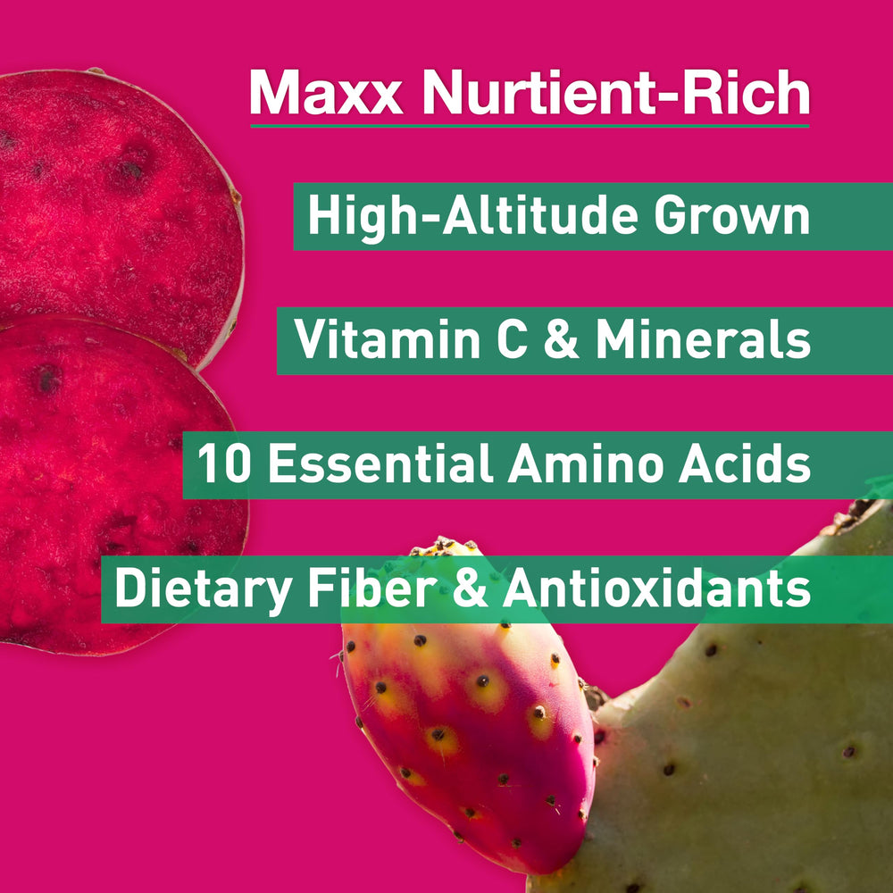 Maxx Herb Red Nopal vegetarian capsules for a clean plant-based option