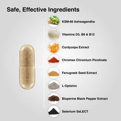 Mdrive Elite Ashwagandha KSM-66 image emphasizing adaptogens for everyday focus.