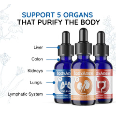 Label of MediNatura BodyAnew highlights homeopathic wellness for internal purification.
