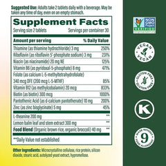 MegaFood Lemon Balm and Zinc close-up highlighting calming support and immune help.