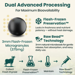 Flash-frozen bead technology preserves natural ingredient profiles.