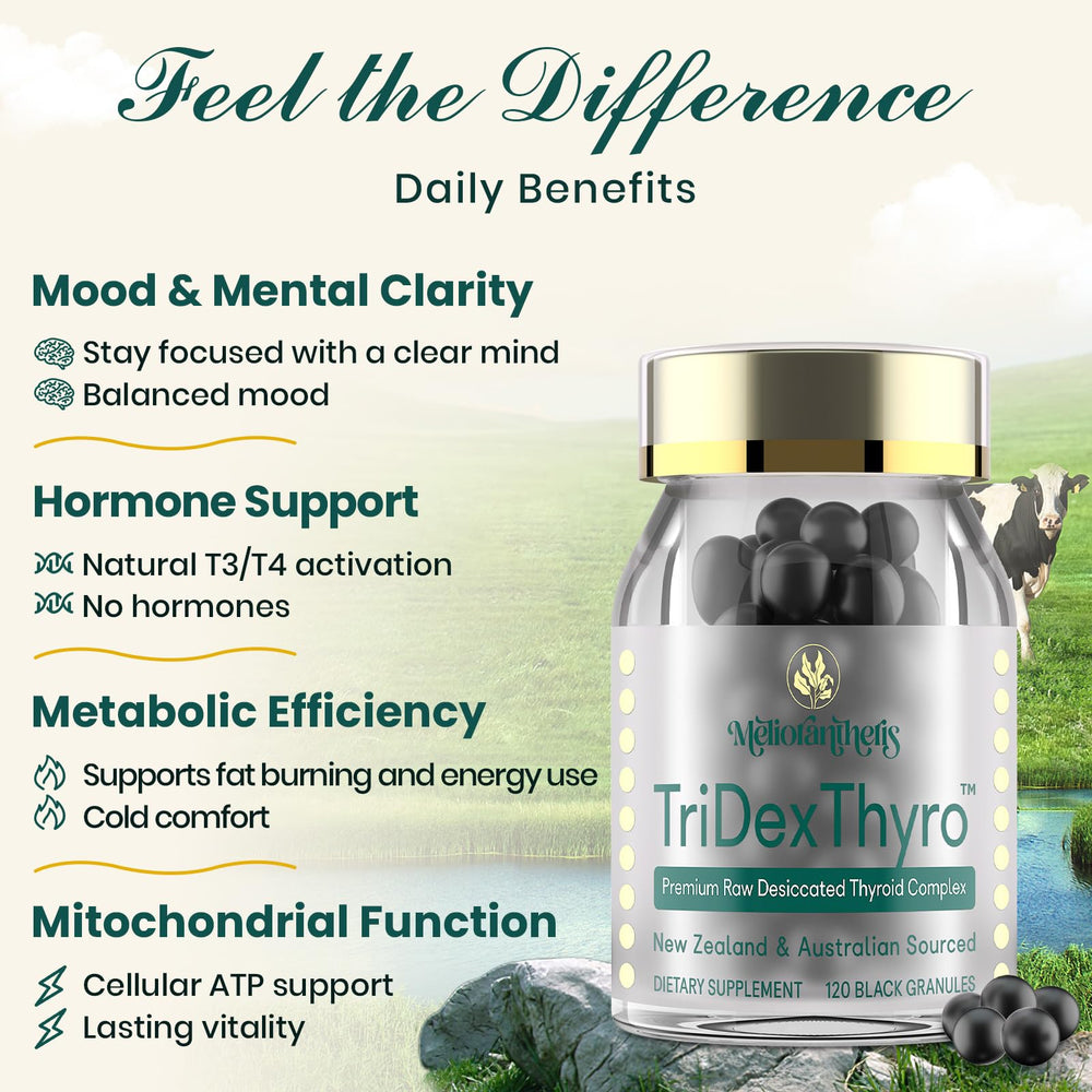 Meliorantheris TriDexThyro ingredients chart highlights bovine, porcine, and ovine sources.