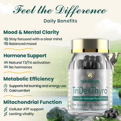 Meliorantheris TriDexThyro ingredients chart highlights bovine, porcine, and ovine sources.