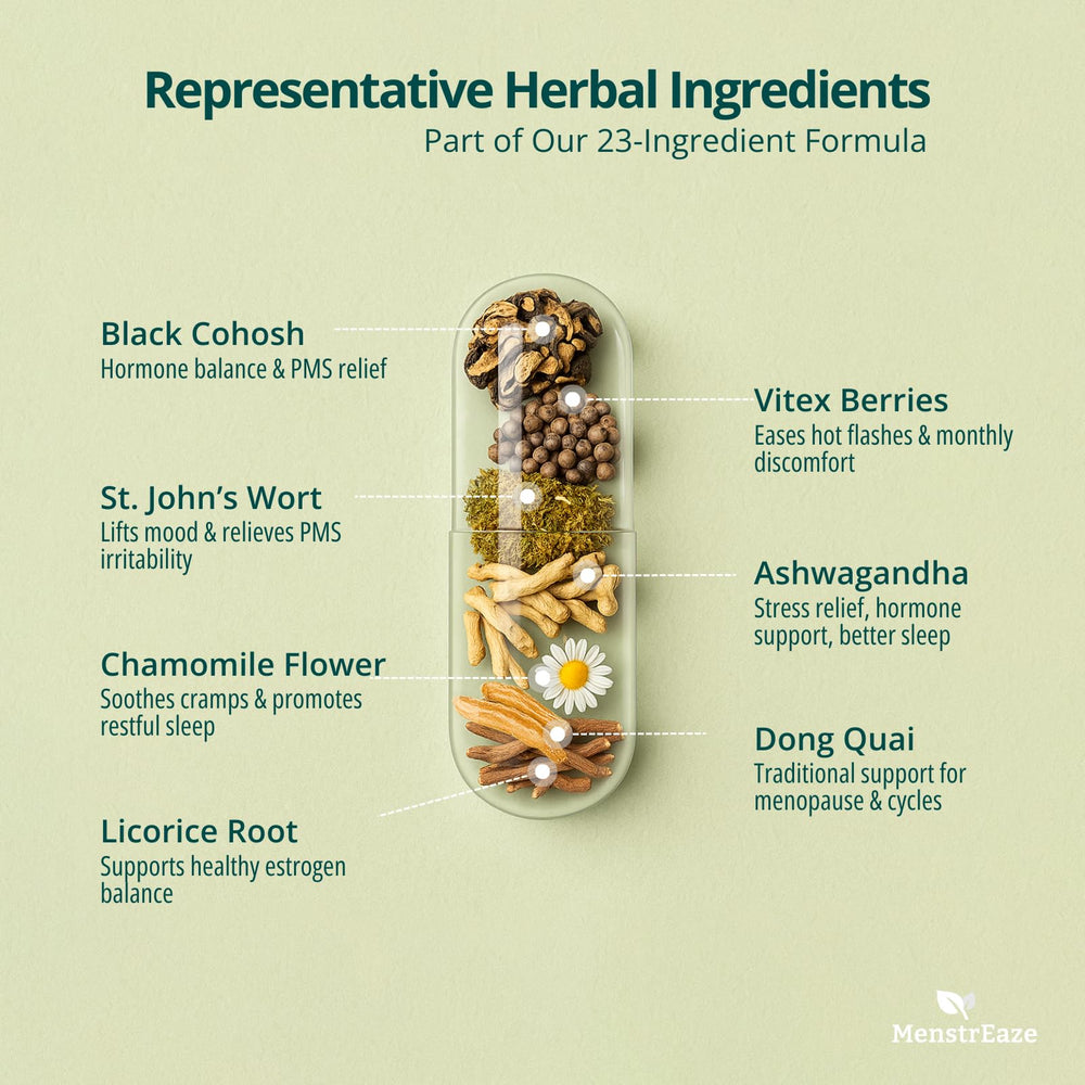 MenstrEaze ingredient scene highlights natural herbs for cramps and mood support