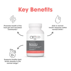 Metabolic Maintenance Berberine and Chromium ingredients panel lists berberine, magnesium, and chromium.