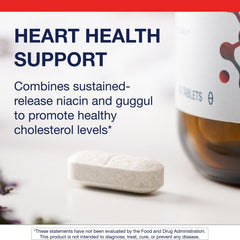 Metagenics Lipotain ingredient: inositol hexanicotinate provides 500 mg niacin per tablet