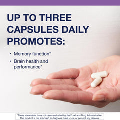 Magtein capsules close-up illustrating cognitive focus and learning support